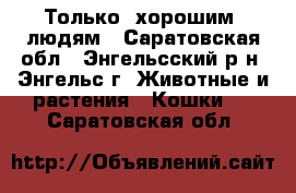 Только  хорошим  людям - Саратовская обл., Энгельсский р-н, Энгельс г. Животные и растения » Кошки   . Саратовская обл.